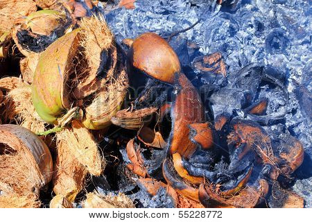 Background Of Coconut Shell.
