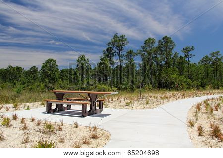 Picnic Table