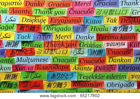 Thank You