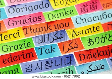 Thank You