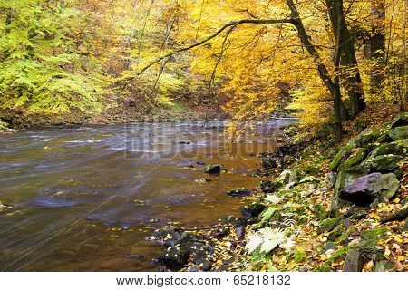 Metuje river in autumn, Czech Republic