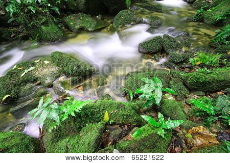 Waterfall In The Rain Forest