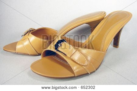 Tan Slides 1