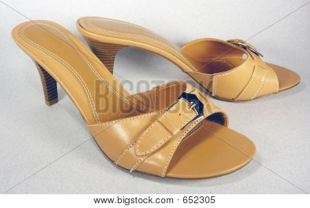 Tan Slides 4