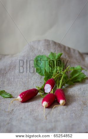 Fresh radish