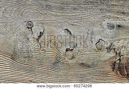 Brown wooden stump texture