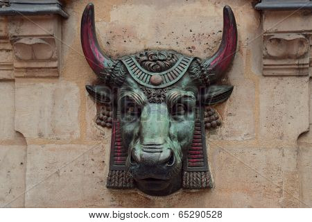 Bull