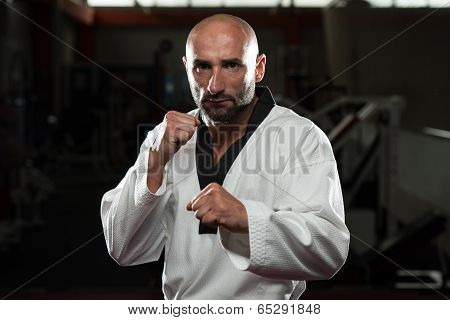 Black Belt Karate Expert With Fight Stance