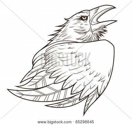 Raven Portrait