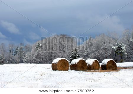 Comida para o inverno