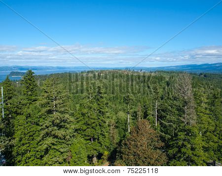 A View Of The Astoria Oregon Area From The Astoria Column
