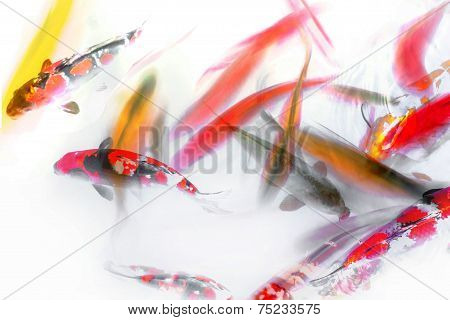 Koi Fish Swimming Abstract Watercolor