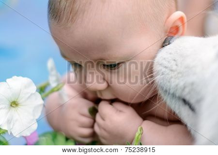Dog Is Smelling Child's Ear