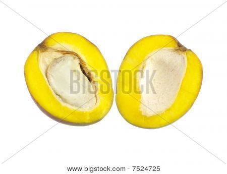 mango profilo su bianco