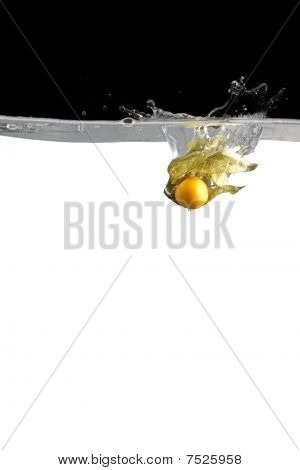Physalis dans l'eau