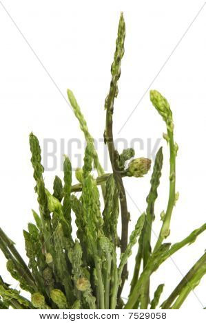 Green Asparagus