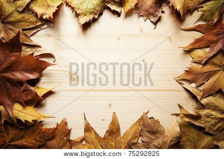 autumn frame