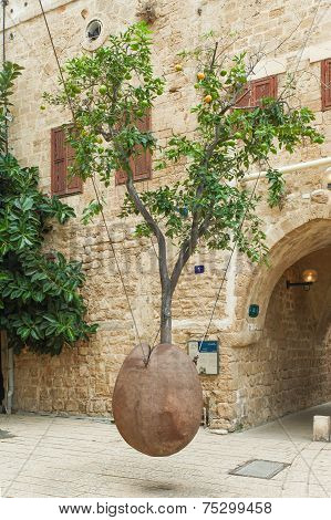 Typical view of Jaffa's narrow old alley