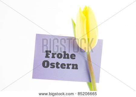 frohe ostern against tulip with card