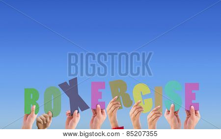 Hands holding up boxercise against bright blue sky