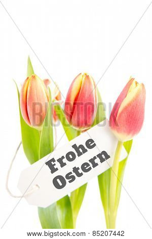 frohe ostern against tulips with card