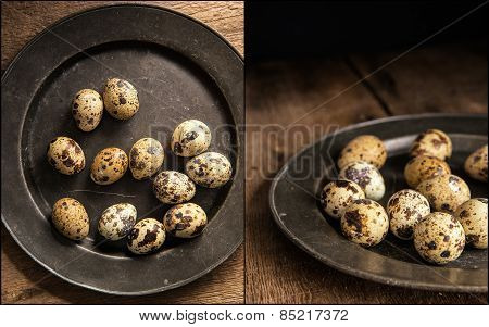 Compilation Of Moody Natural Lighting Setting Of Quaills Eggs With Vintage Retro Style