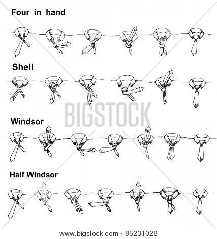 Vector tie and knot instruction, shell, four in hand, windsor,half windsor