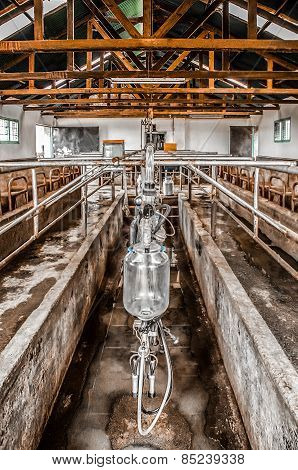 Milking Parlour