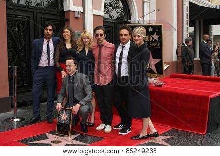 LOS ANGELES - MAR 11:  BIg Bang Theory Cast at the Jim Parsons Hollywood Walk of Fame Ceremony at the Hollywood Boulevard on March 11, 2015 in Los Angeles, CA