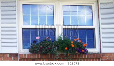 windowbox