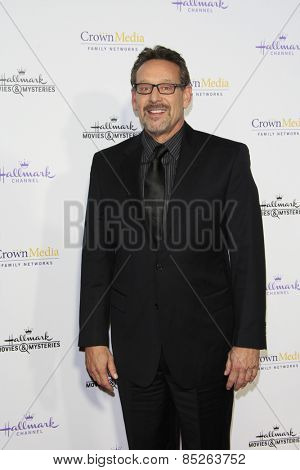 LOS ANGELES - JAN 8: Rob Steinberg at the TCA Winter 2015 Event For Hallmark Channel and Hallmark Movies & Mysteries at Tournament House on January 8, 2015 in Pasadena, CA