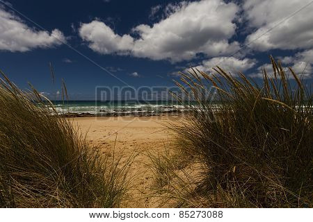 Grass Sand Sea And Sky