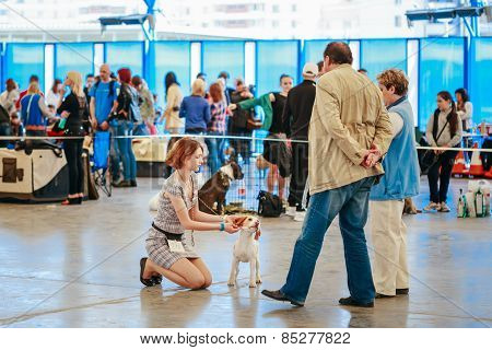 People and dogs visit exhibition -International dog show, import
