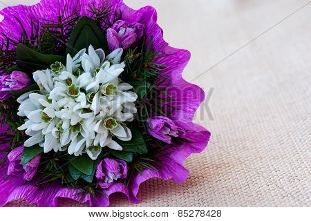 Snowdrop flowers bouquet with fir twigs