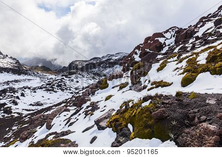 Fresh Snow On Rocks,