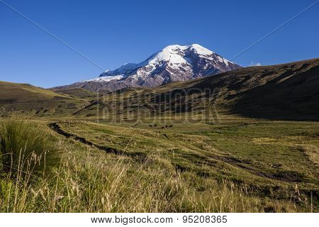 Chimborazo Volcano And Paramo