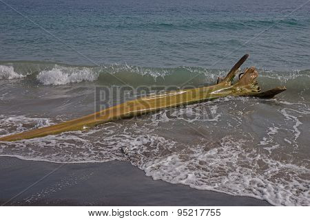Wooden flotsam on caribbean beach