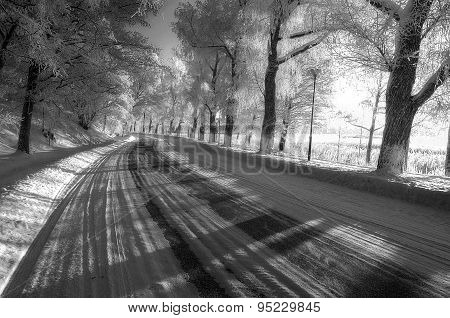 Winter Curve