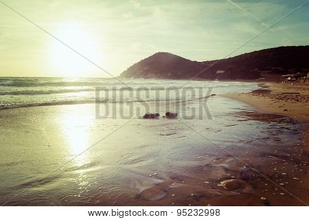 Beach In Vintage Tone