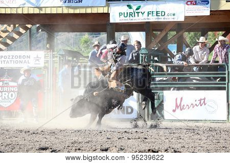 Ty Pozzobon Invitational Pbr