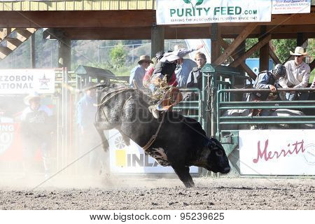 Ty Pozzobon Invitational Pbr