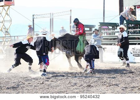 Ty Pozzobon Invitational Pbr