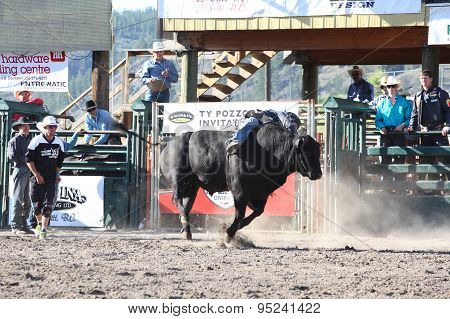 Ty Pozzobon Invitational Pbr