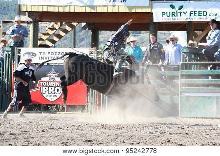 Ty Pozzobon Invitational Pbr