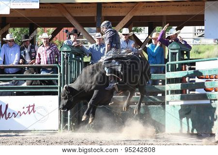 Ty Pozzobon Invitational Pbr