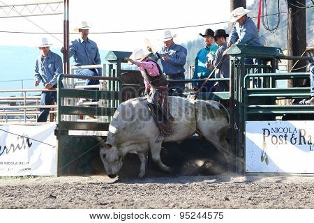 Ty Pozzobon Invitational Pbr