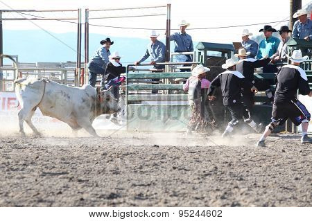 Ty Pozzobon Invitational Pbr