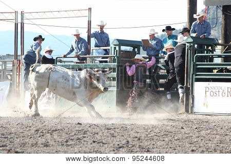 Ty Pozzobon Invitational Pbr