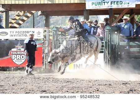 Ty Pozzobon Invitational Pbr