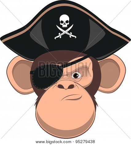 Funny monkey